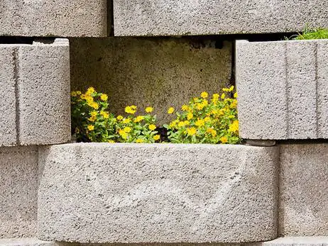Bauprojekt Edwin Kessler Straße